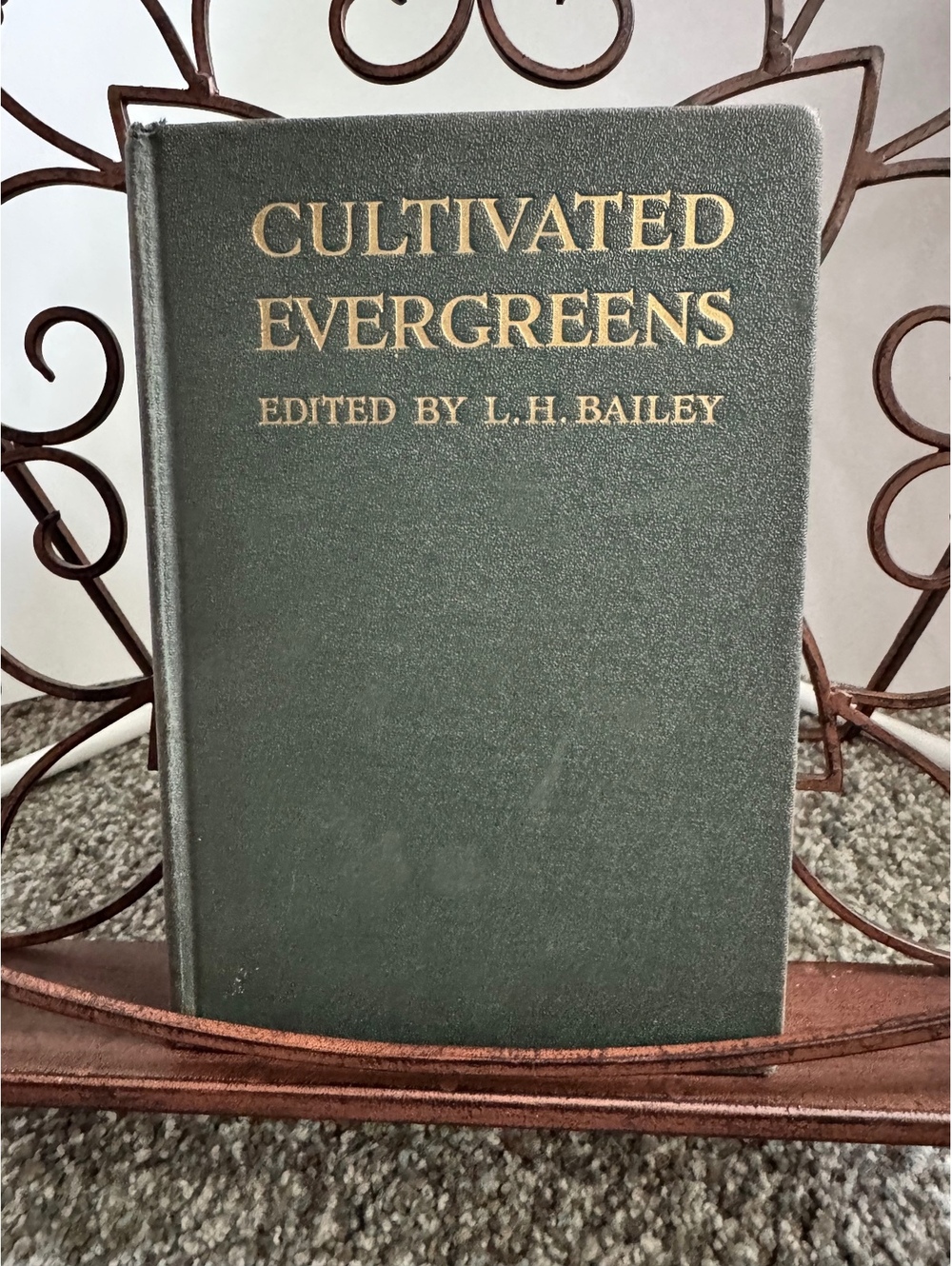 The Cultivated Evergreens by L. H. Bailey - Vintage 1930 Hardcover
